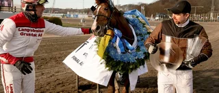 Redéns duo redo för Elitloppet