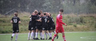 Fanna satsar lokalt inför återkomsten i division 3