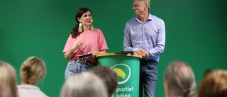 MP vill ge statligt stöd för leasing av elbil