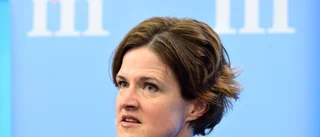 Riksdagen stör regeringen