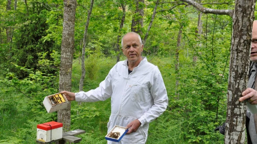 Biodling. Leif Svensson visar upp ett av alla samhällen som finns på markerna runt lantstället vid Segelrum