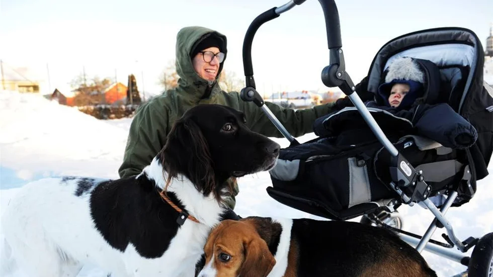 Niklas Håkansson efterlyser en hundrastgård i centrala Västervik.
