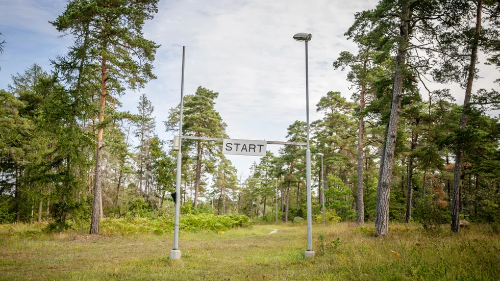 På måndag den 7 augusti inleds det två veckor långa avverkningsarbetet i VOK-skogen.