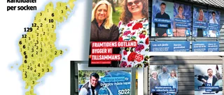 Över 300 kandiderar till regionfullmäktige • Var femte socken saknar kandidater • Här är de politikertätaste områdena 