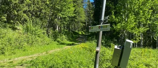 Trött på att halka i elljusspåret