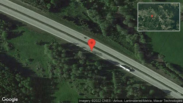 Rådjur på vägen på E20
