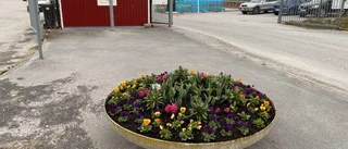 Tävlingen avslutad – här hittades påskäggen!