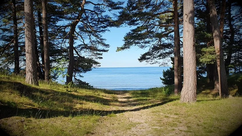 Sinnesro. Helt gratis.