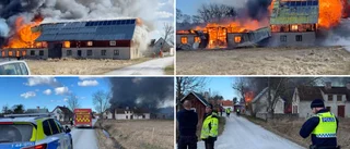 Dramatiska bilder • Ladugård brann ner till grunden • Branden upptäcktes av förbipasserande