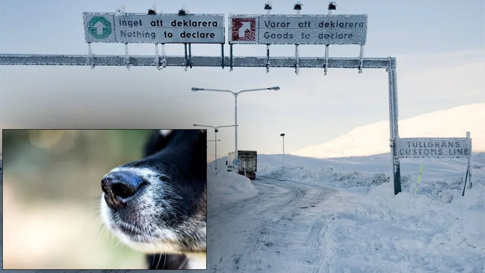Avlivad. En hundägare fick avliva sin hund då papper saknades.