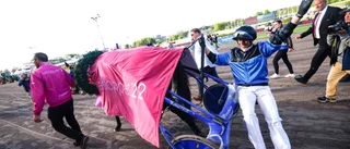 Fransk seger i Elitloppet: "Vansinnigt"