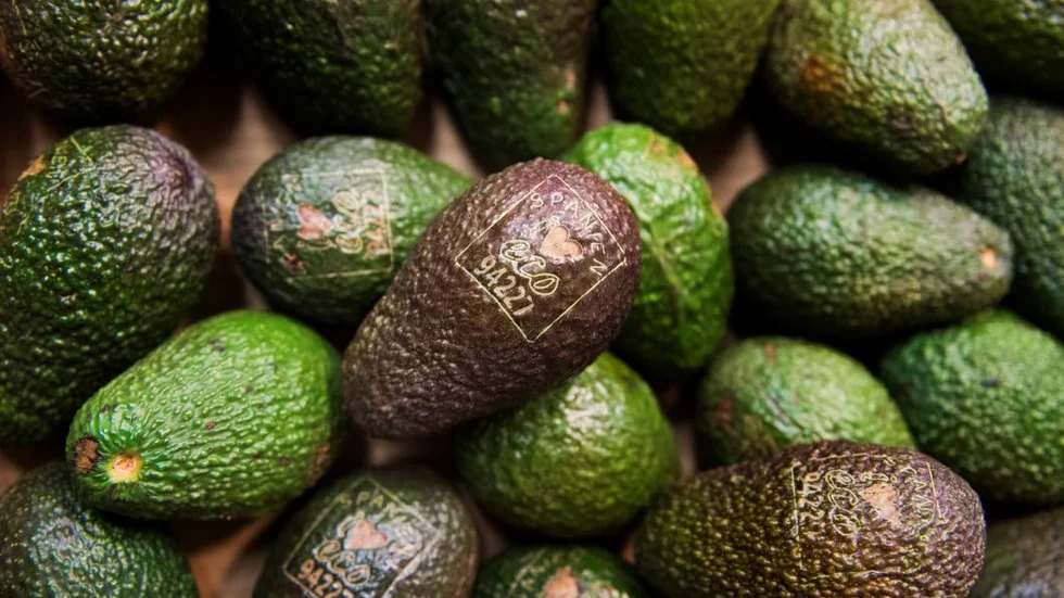Det krävs 1 173 liter vatten per kilo avokado som odlas.