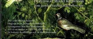 "Ljusår" visas igen - på bästa sändningstid