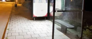 Stanna bussen var du själv vill