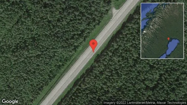 Älg på vägen på E4