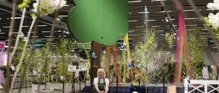 Trädgårdsmässan ger inspiration och nya idéer