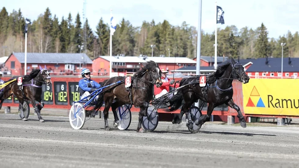 Invändige Ros Faksen höll undan före Wild Wiking i V4-inledningen på Skellefteåtravet.