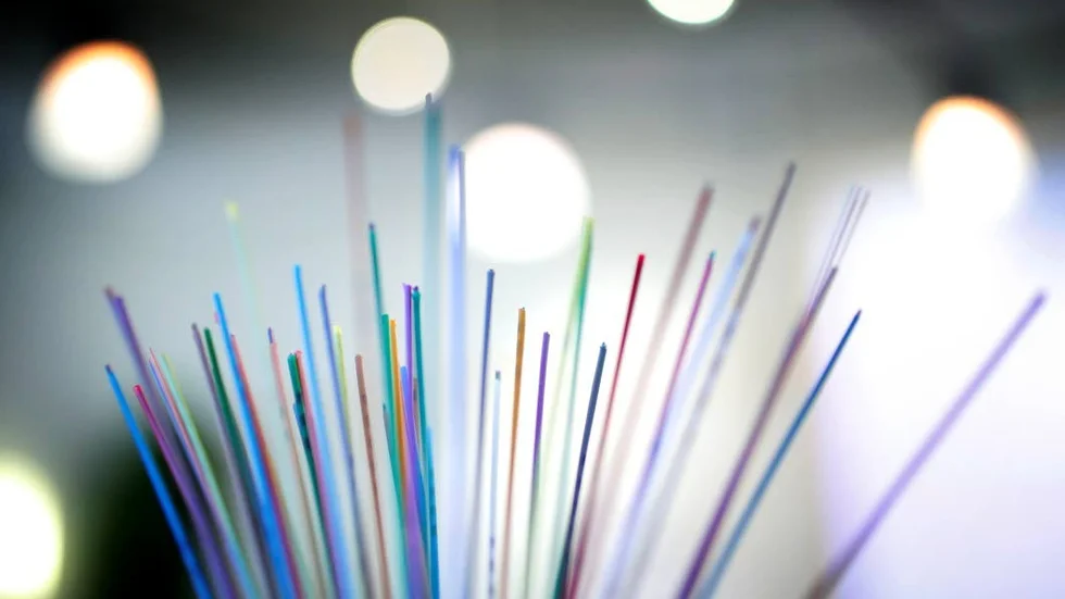 Fiber.