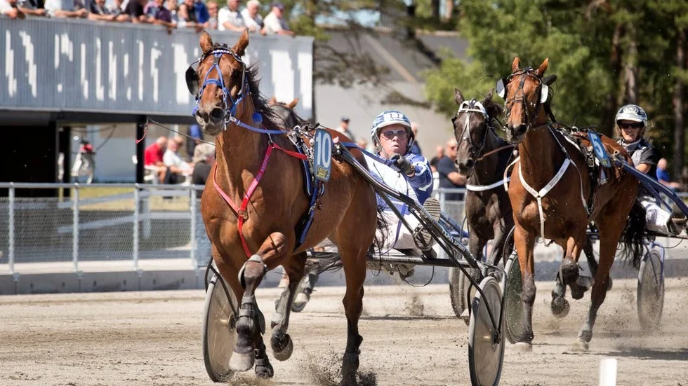 BARFOTA NÄSTA? Thomas Persén och kretsen runt Digger Smasher har en plan inför SM på Skrubbs om en dryg månad.