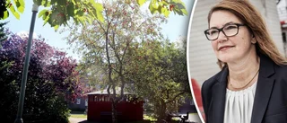 "Ser över hela ekonomin i Gotlandshem"