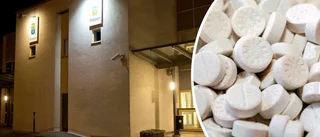 Åtal: Bröder försökte sälja ett kilo ecstacy
