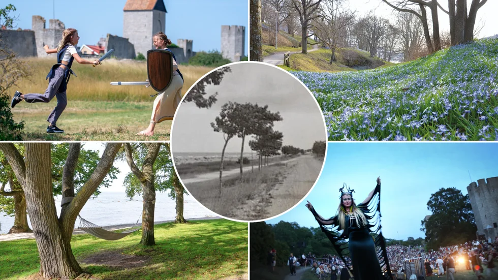 Grönt i Visby