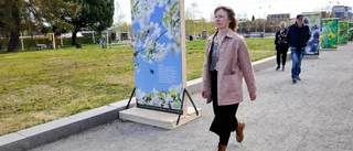 Pollineringsveckan: Utställningar • föreläsningar • aktiviteter med fokus på pollinering ”Nu blommar vi ut ordentligt och surrar för fullt”