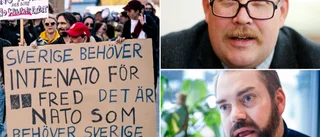 Länets S-profiler lägger locket på om Nato • Statsvetaren: "Partitoppen bestämmer"