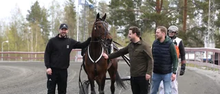 Jimmie Ericssons succé som hästägare – nyförvärvet slog till direkt på Skellefteåtravet: ”Mäktigt”