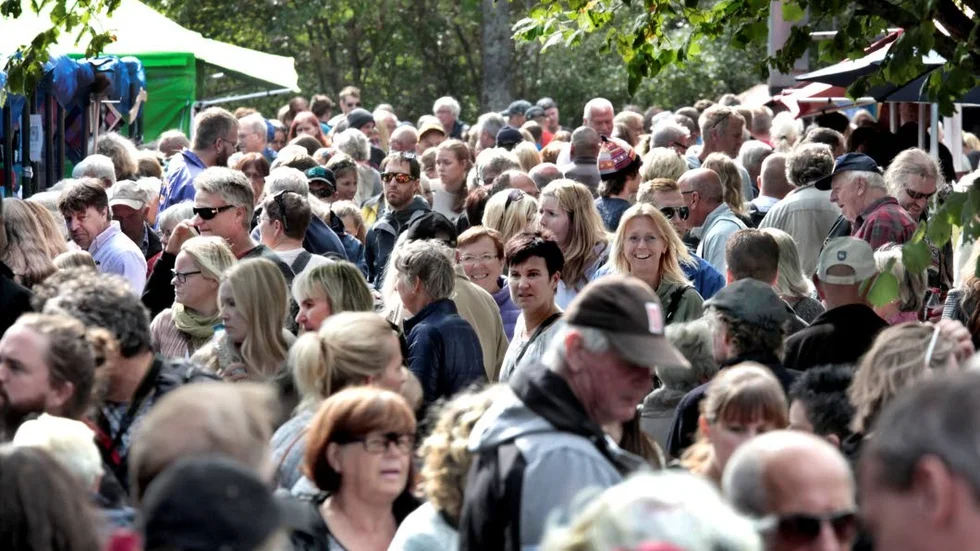 Gotlands folkmängd fortsätter att öka, tack vare inflyttningen. Vid årsskiftet var 61 173 personer folkbokförda på ön.