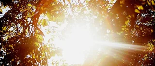 Gotlänningarna har sol i sinnet