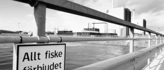 Väldigt svårt att gilla läget