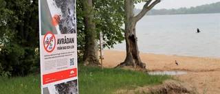 Nya besked om pfas-läget vid badplats i Motala