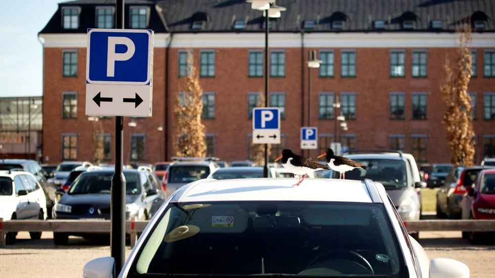Insändarskribenten anser att det borde vara gratis att parkera vid myndighetsbesök.