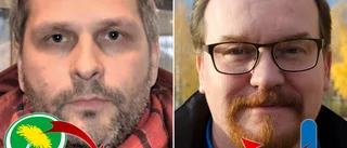 Katastrofsiffrorna • MP och L kvar under riksdagsspärren: "Skräckscenario med blåbrun regering"