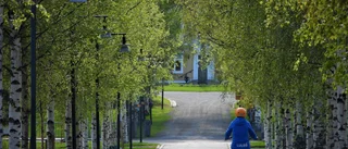 Den blomstertid nu kommer      
