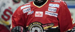 Hockeyallsvenskan - en norrbottnisk affär