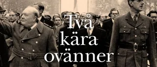 Knappast vänner