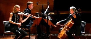 Modern klassiker & samtida dramatik