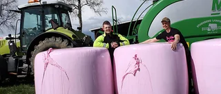 Därför är höbalarna rosa
