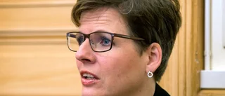 Nytt utskott för trygghet och demokrati