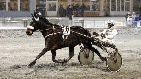Den stora "skrällen". Patrik Nygren tog hem segern i V4-2 till sex gånger pengarna.