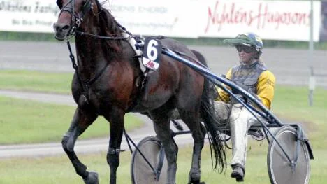 Treåriga Caviar de Vie visade sin kapacitet i treåringsloppet innan V75-omgången tog vid. Hanna Olofsson körde till spets i och hade sedan full kontroll.