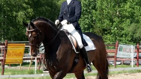 Maria Eriksson avvecklar ridskoleverksamheten för att ägna mer tid i sadeln. FOTO: K-L Sundqvist