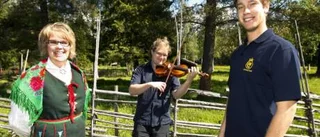 Skogsbruk, jordbruk och musik - studier som ger stipendium.