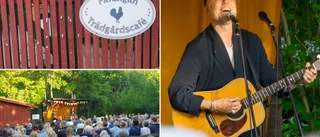 Andersson Wijs succé – bland moppegäng, koltrastar och kvällssol