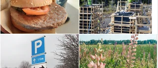 Restaurang och naturvård – här är Eskilstunas nystartade företag