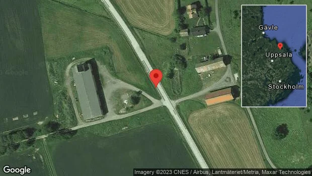 Hästar på vägen på väg 76