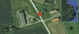 Hästar på vägen på väg 76