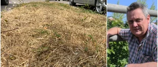 Juni mycket nära att bli rekordtorr i Uppsala